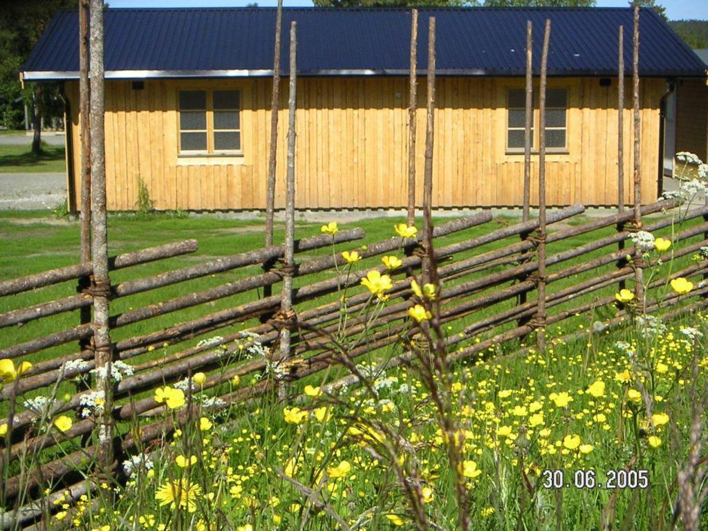 Saiva Camping & Stugby Vilhelmina Dış mekan fotoğraf